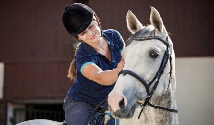 Equine Horse Names: Choose the Perfect Name for Your Horse
