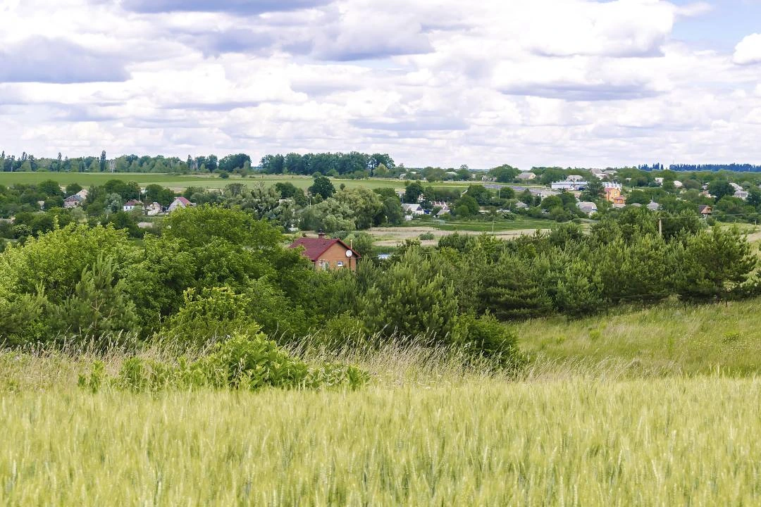 Why Sodziu Is the New Way to Live Well