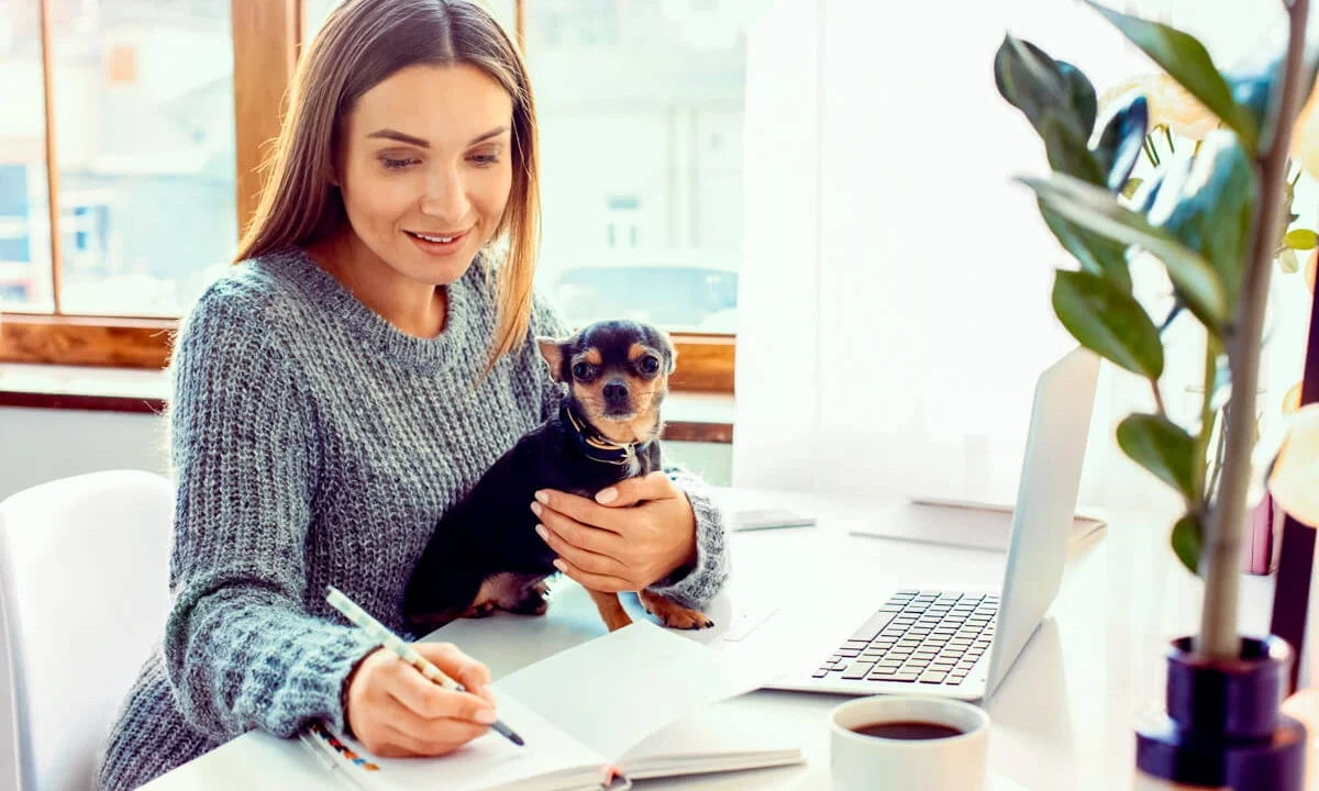 How Is Pet5ardas com Changing Pet Care?