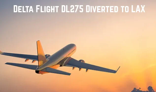 Delta Flight DL275 Diverted LAX: Complete Incident Analysis