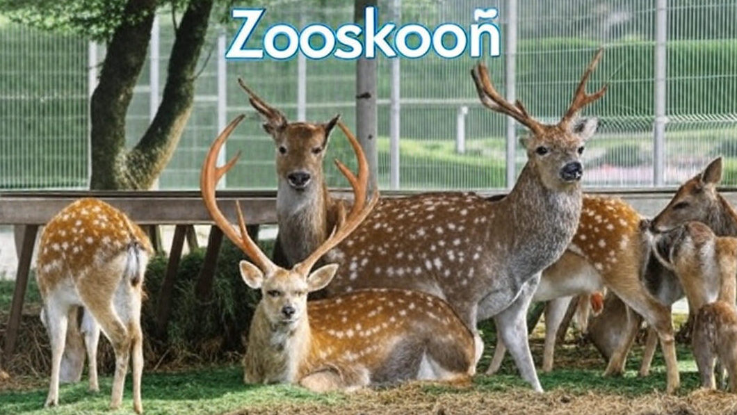 Zooskooñ: The Future of Ethical and Sustainable Zoos
