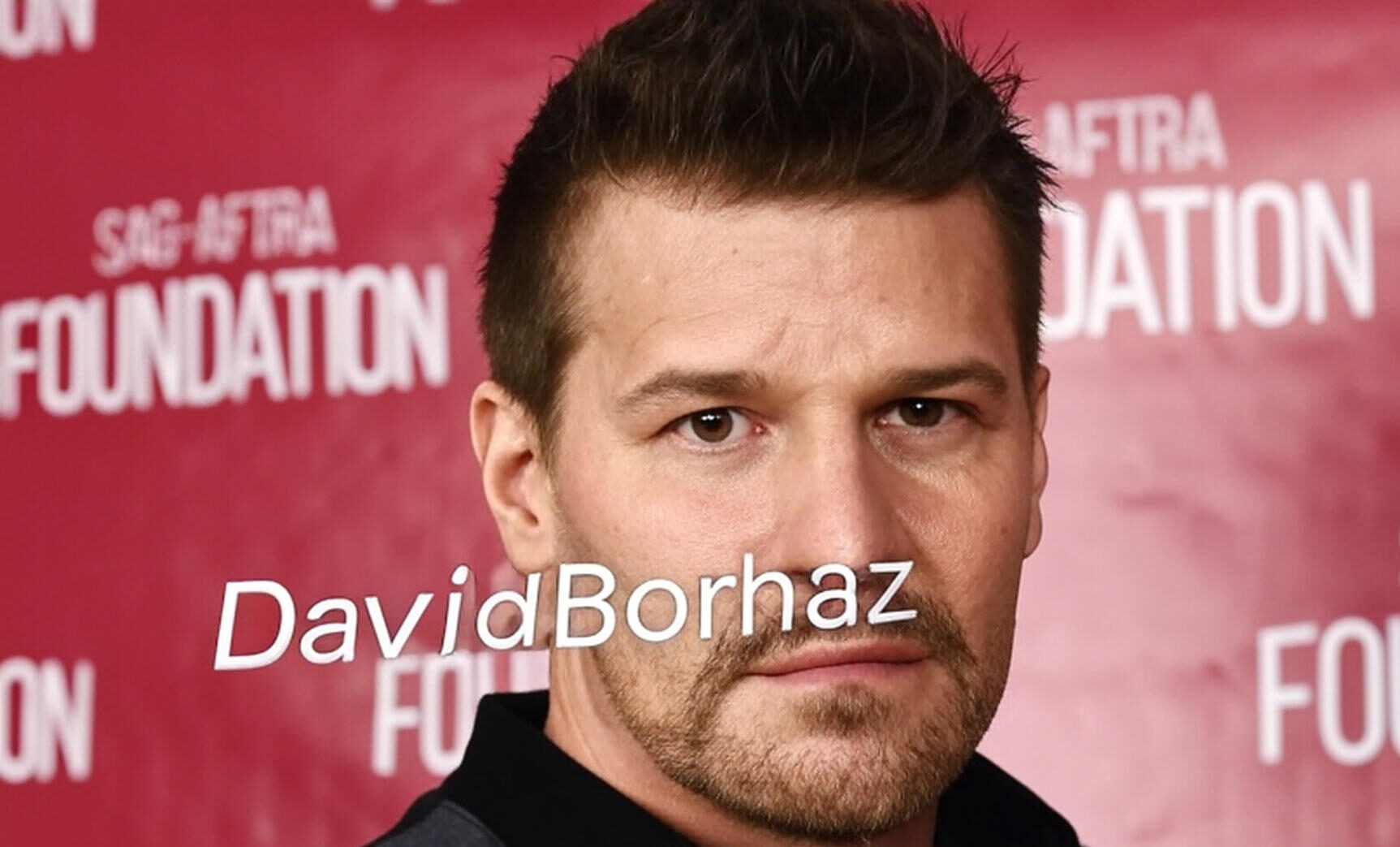 David Borhaz: A Journey of Wine, Art, and Innovation